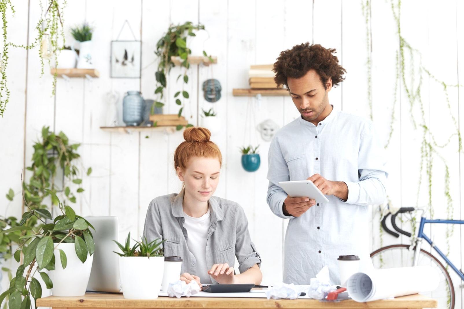 API testing and integration workspace showing monitoring systems and development environment